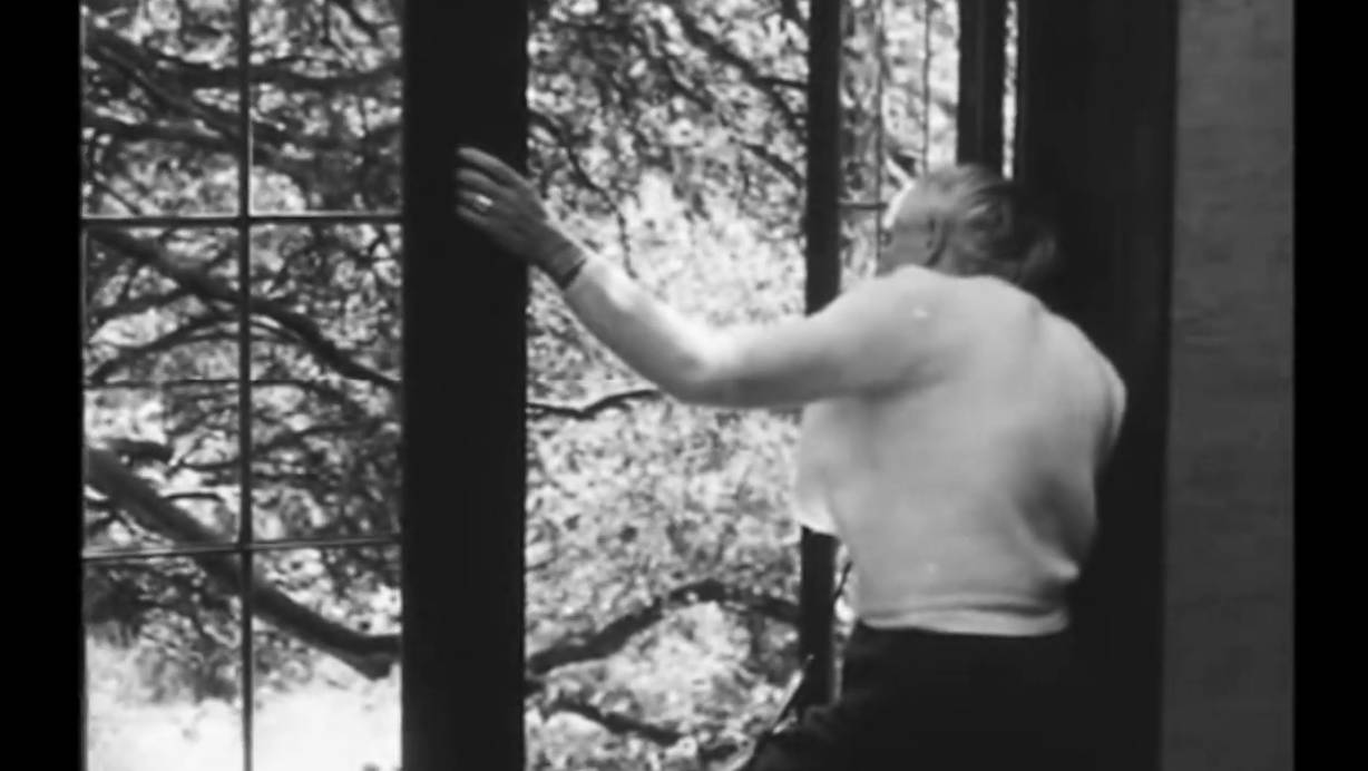 Thumbnail capture of Dorothea Lange Part 1: Under The Trees